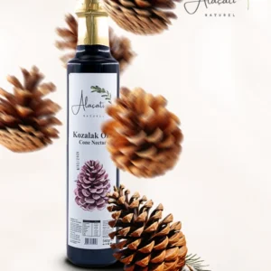 artboard 2 copy 8 1.webp