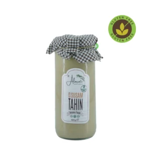 untitled design 15.webp